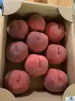 常光寺岡田観音堂(長野県)