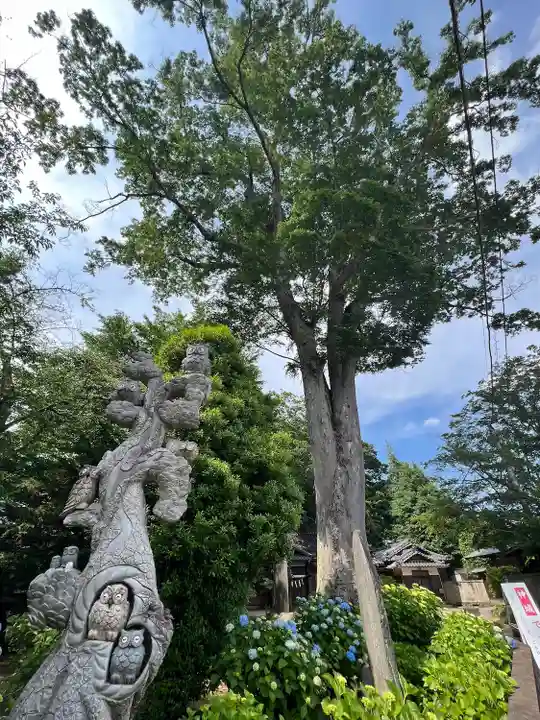 野木神社(栃木県)