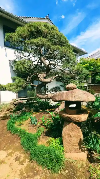 感通寺の庭園
