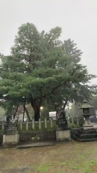 北野天満宮(京都府)