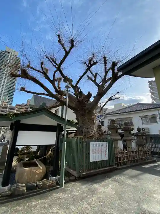 二宮神社(兵庫県)