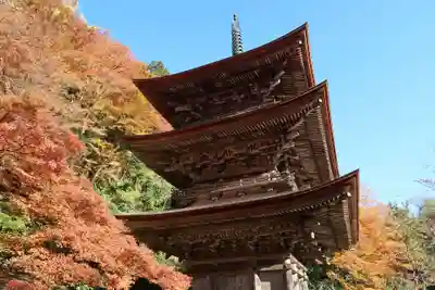 金剛院(京都府)