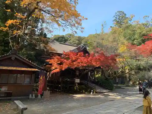 石山寺の建物その他