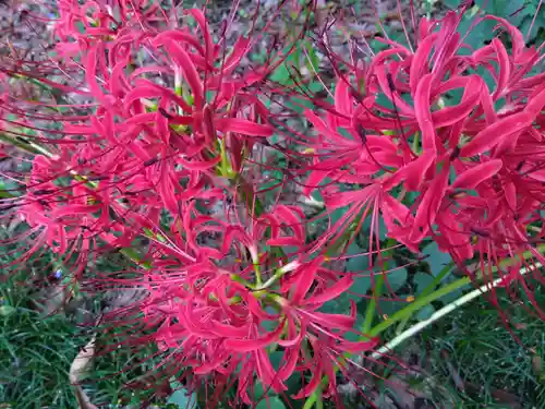 江守神社(福井県)