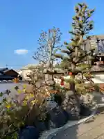 大松禅寺の自然