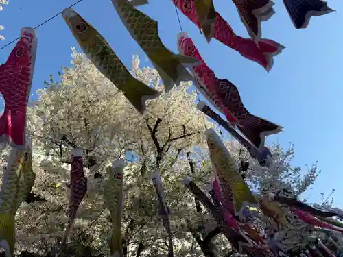 くまくま神社(導きの社 熊野町熊野神社)(東京都)