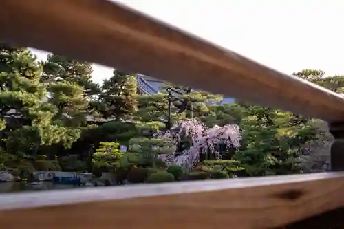 平安神宮(京都府)