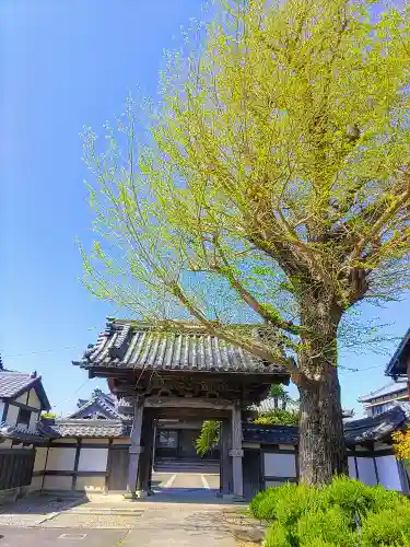 専念寺の山門