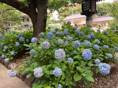 愛知縣護國神社の庭園