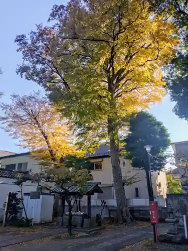 田端神社(東京都)