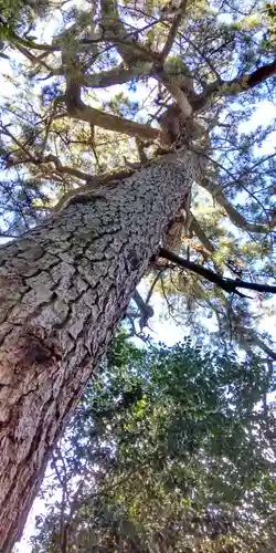 第六天神社の自然