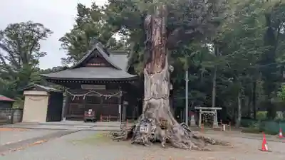 相原八幡宮(神奈川県)