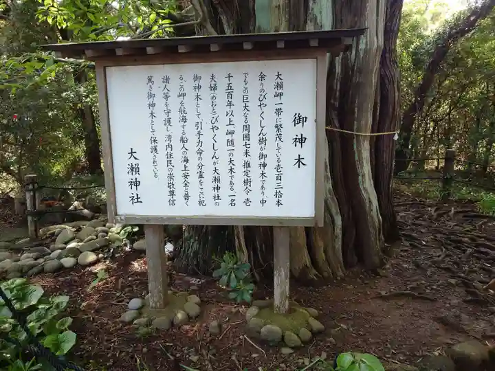 大瀬神社(静岡県)