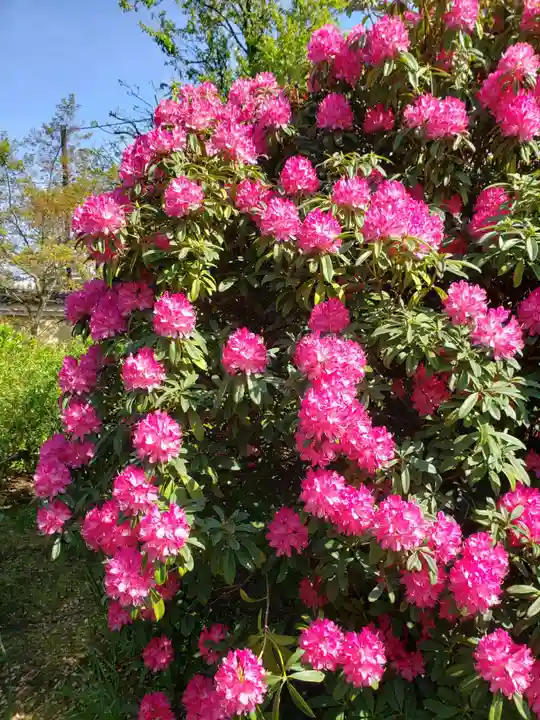 福蔵院(東京都)