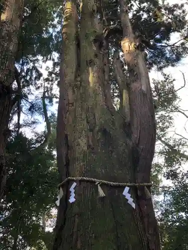 白山比咩神社(石川県)