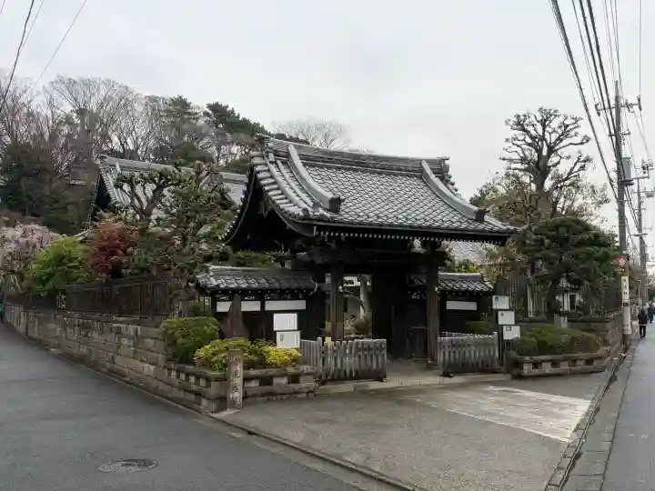 照栄院の{uncategorized: "未分類", other: "その他", undefined: "問題あり", building: "その他建物", grave: "お墓", sacred_gate: "鳥居", guardian: "狛犬", statue: "像", buddha: "仏像", history: "歴史", nature: "自然", garden: "庭園", animal: "動物", pagoda: "塔", temizu: "手水舎", mountain_gate: "山門・神門", sanctuary: "本殿・本堂", subordinate: "末社・摂社", art: "芸術", scenery: "景色", jizo: "地蔵", ema: "絵馬", goshuin: "御朱印", omikuji: "おみくじ", items: "授与品その他", amulet: "お守り", goshuincho: "御朱印帳", eats: "食事", festival: "お祭り", votive_dance: "神楽", shichigosan: "七五三参", wedding: "結婚式", experience: "体験その他", initially: "初詣", around: "周辺", anti_infection: "感染症対策"}