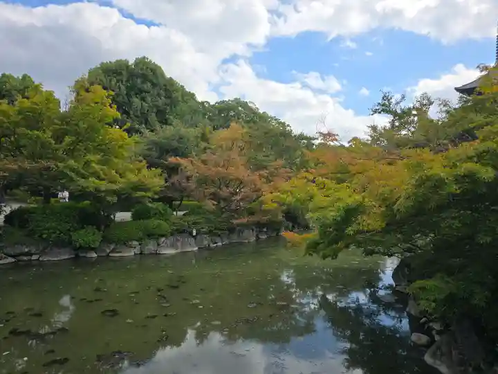 東寺(教王護国寺)の庭園