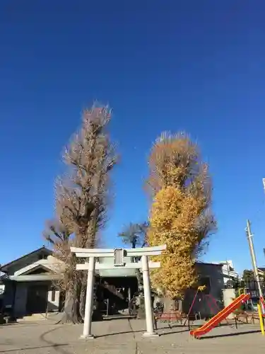 春日神社の鳥居