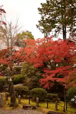 真正極楽寺(真如堂)(京都府)