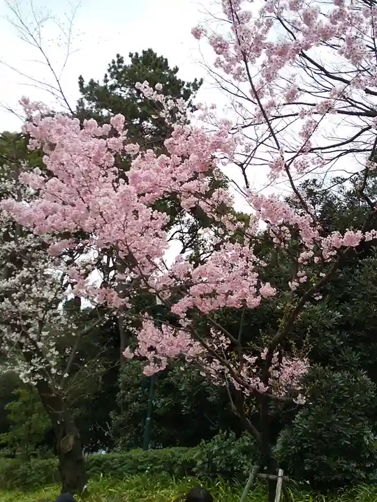 靖國神社の自然
