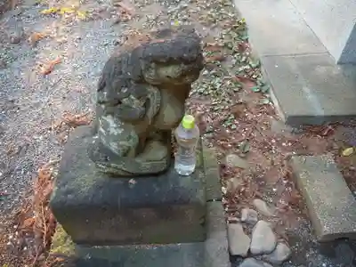 椙山神社の狛犬