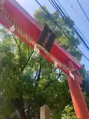 堀川戎神社の鳥居