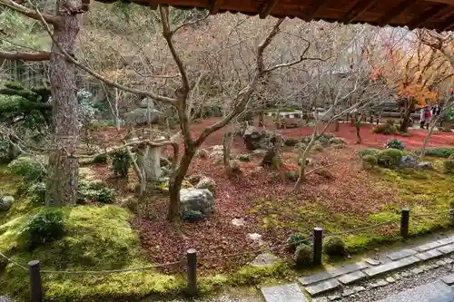 圓光寺の庭園