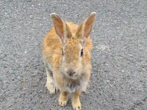 大久野島神社(広島県)