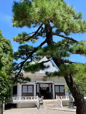 崋山神社の本殿・本堂