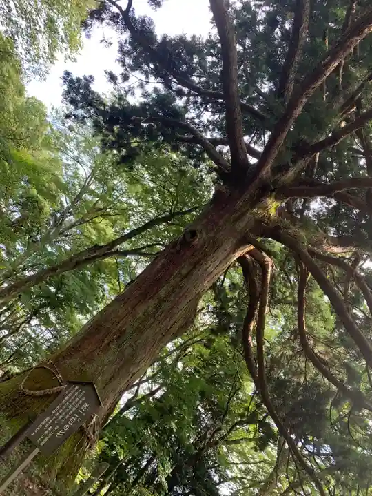 白河神社(福島県)