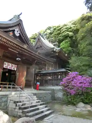 石見国一宮　物部神社の本殿・本堂