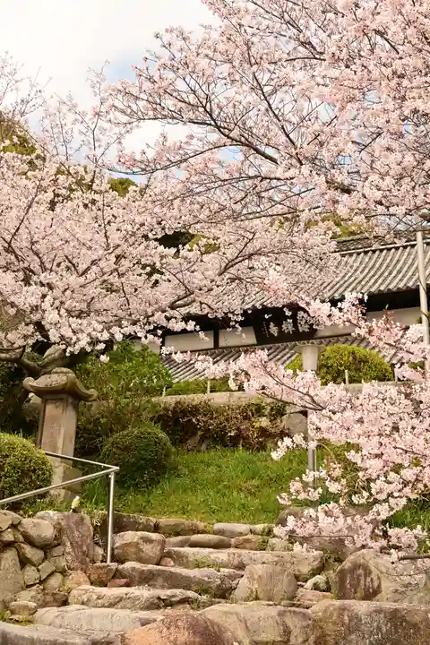 海禅寺(愛媛県)