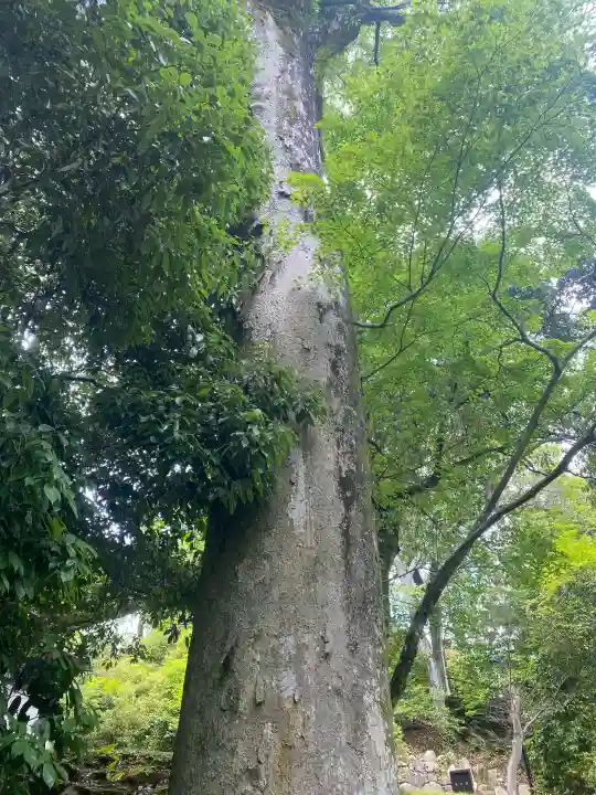 石山寺(滋賀県)