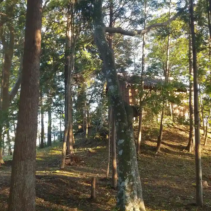 熊野神社のその他建物