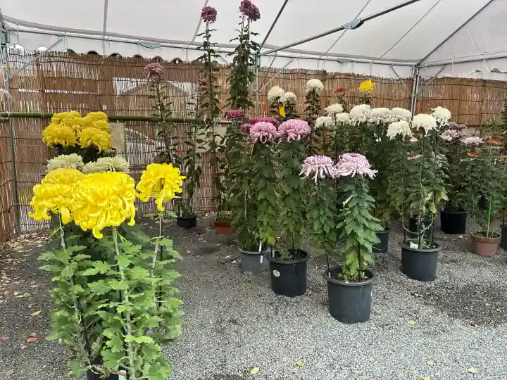 尾張大國霊神社(国府宮)(愛知県)