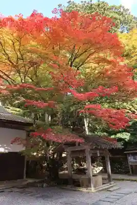比叡山延暦寺(滋賀県)