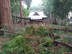 大生神社の自然