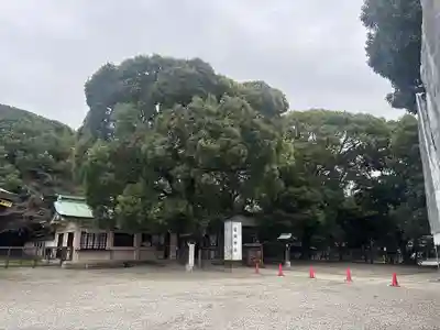 服織神社（真清田神社境内社）(愛知県)
