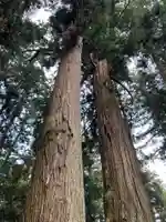 大宮温泉神社(栃木県)