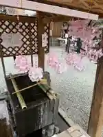 川越熊野神社(埼玉県)