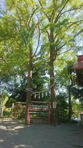 多摩川浅間神社のその他建物