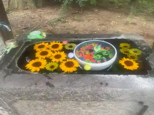 千代ケ岡八幡宮(栃木県)