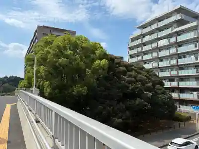厳島神社(千葉県)