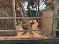 瀧水寺(千葉県)