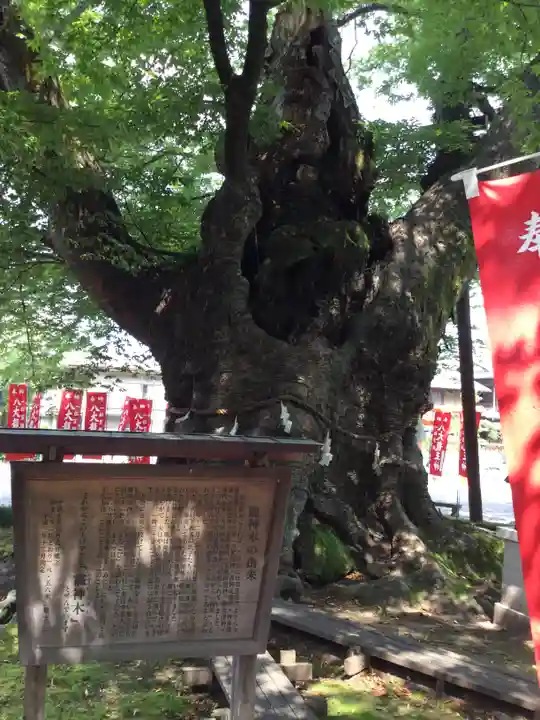 秩父今宮神社の自然