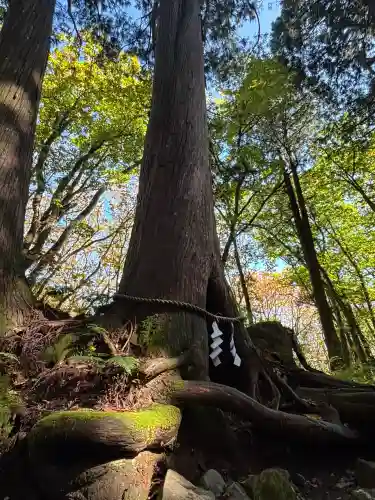 戸隠神社奥社(長野県)
