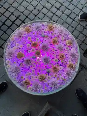 行田八幡神社の手水舎