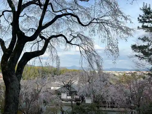 天龍寺の景色