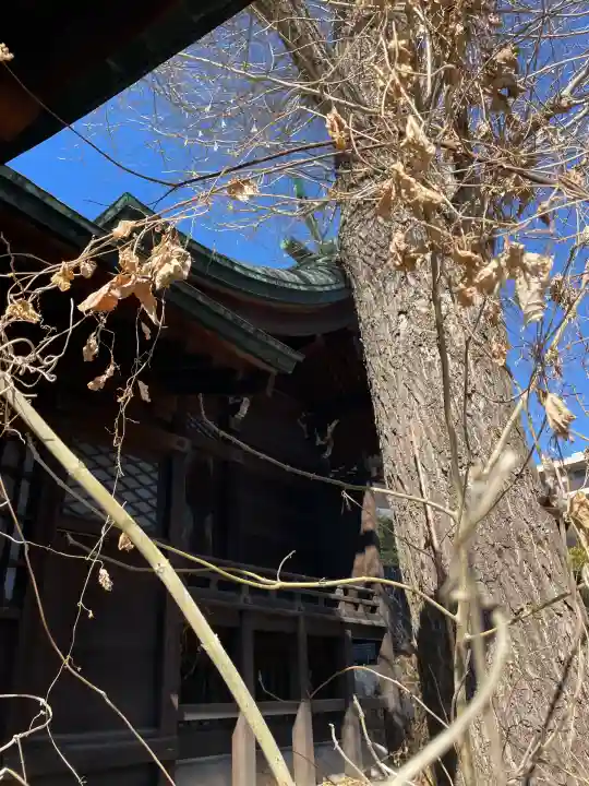 正八幡神社の{uncategorized: "未分類", other: "その他", undefined: "問題あり", building: "その他建物", grave: "お墓", sacred_gate: "鳥居", guardian: "狛犬", statue: "像", buddha: "仏像", history: "歴史", nature: "自然", garden: "庭園", animal: "動物", pagoda: "塔", temizu: "手水舎", mountain_gate: "山門・神門", sanctuary: "本殿・本堂", subordinate: "末社・摂社", art: "芸術", scenery: "景色", jizo: "地蔵", ema: "絵馬", goshuin: "御朱印", omikuji: "おみくじ", items: "授与品その他", amulet: "お守り", goshuincho: "御朱印帳", eats: "食事", festival: "お祭り", votive_dance: "神楽", shichigosan: "七五三参", wedding: "結婚式", experience: "体験その他", initially: "初詣", around: "周辺", anti_infection: "感染症対策"}