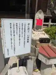 妙楽寺(愛知県)